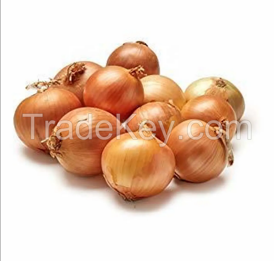 Onions Monthly Organic Fresh Red Onion With Mesh Bag Package