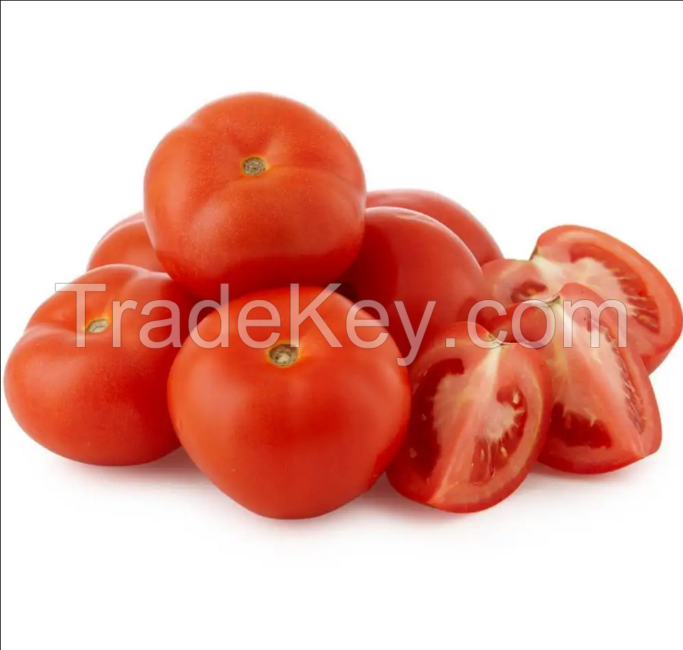 Fresh Tomatoes/canned Tomato Paste Tin Tomato Paste Sachet/high Quality Tomato Paste Fresh Beef Tomato, Cherry Tomato, Fresh