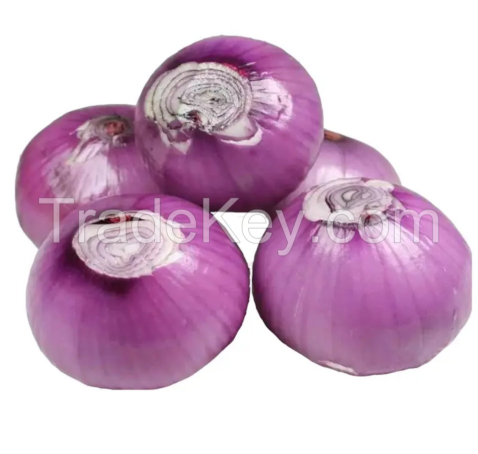 Premium Quality Yellow Onion New Crop Egypt Fresh Golden Onions Cheap Price Natural Healthy yellow onions Wholesale