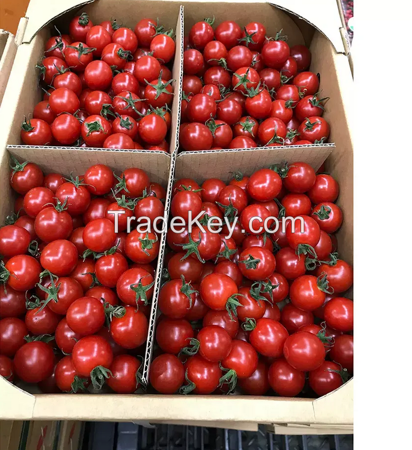 Farm Fresh Tomatoes
