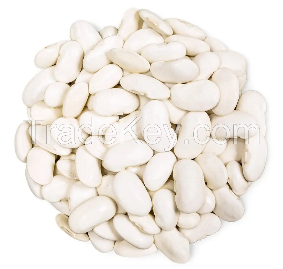 High Quality Black,Red,White Kidney Beans New Crop Year