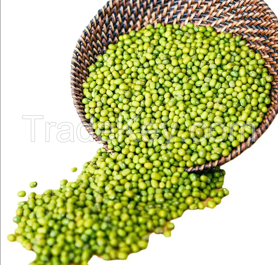 Premium quality raw green Mung bean available for export from india at wholesale low price