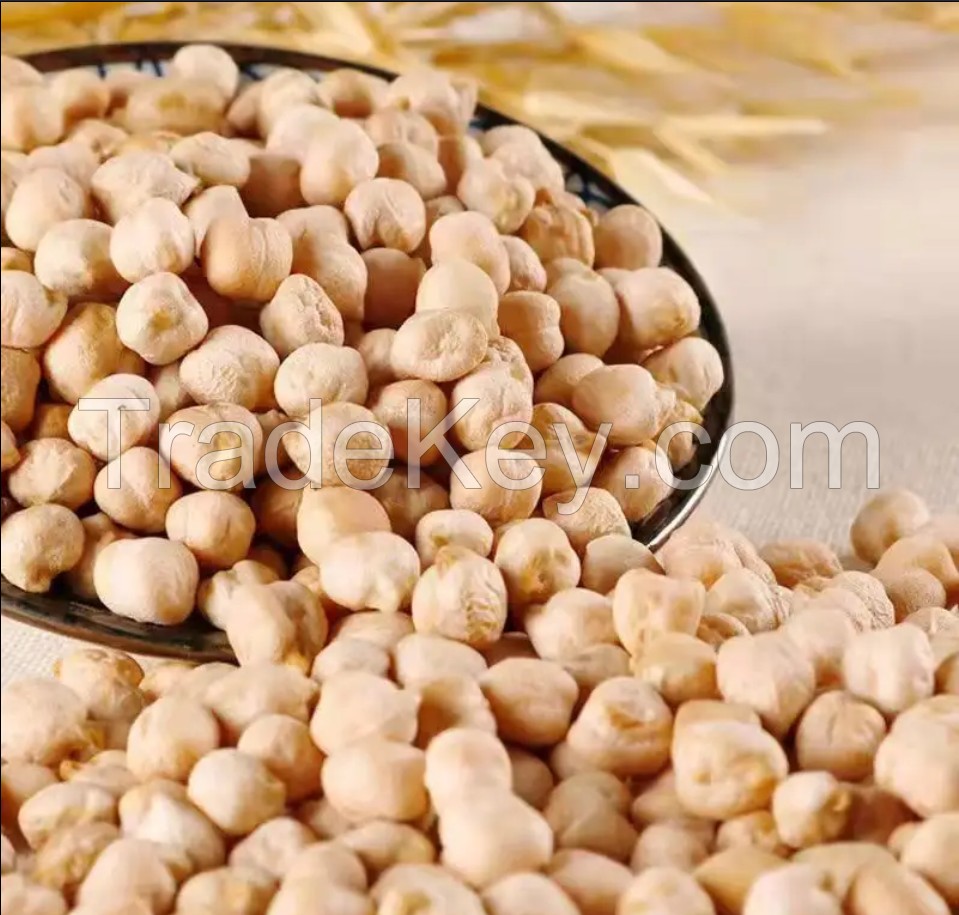 12mm Organic Chickpeas Wholesale Price Good Quality Chickpeas Box Export