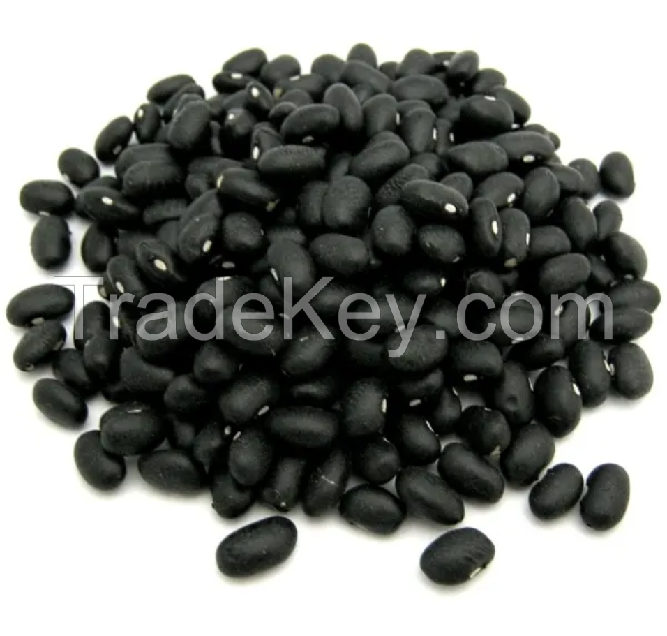 2023 Organic Black Kidney Bean Black Beans Price