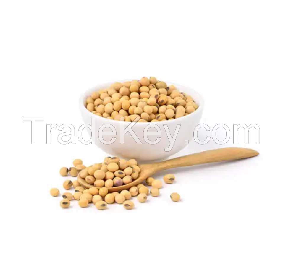 New Crop Top Grade Peeled IQF Frozen Soy Bean Kernels / Food Grade Yellow Soybeans
