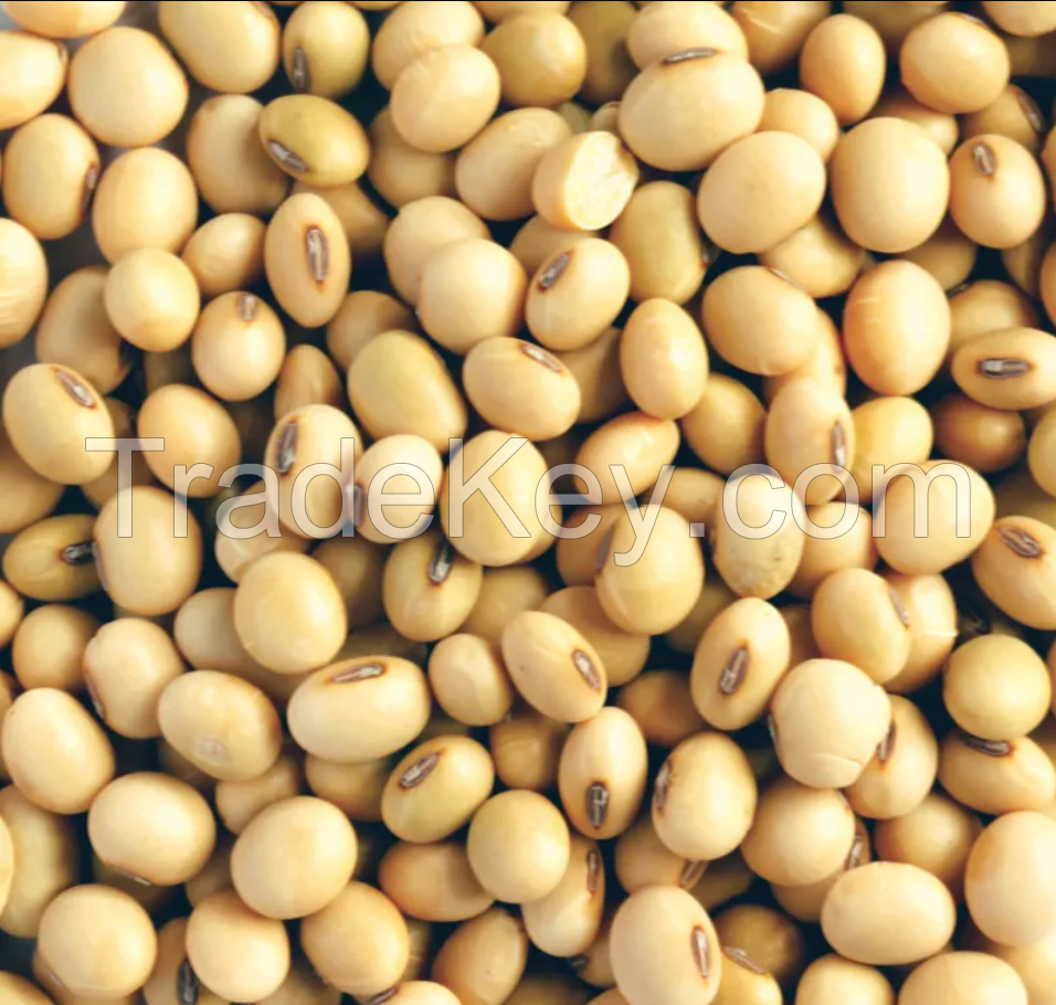 Best Quality Soybean SBDM For Human Consumption With Quick Delivery From Canada Origin Agriculture Soybeans