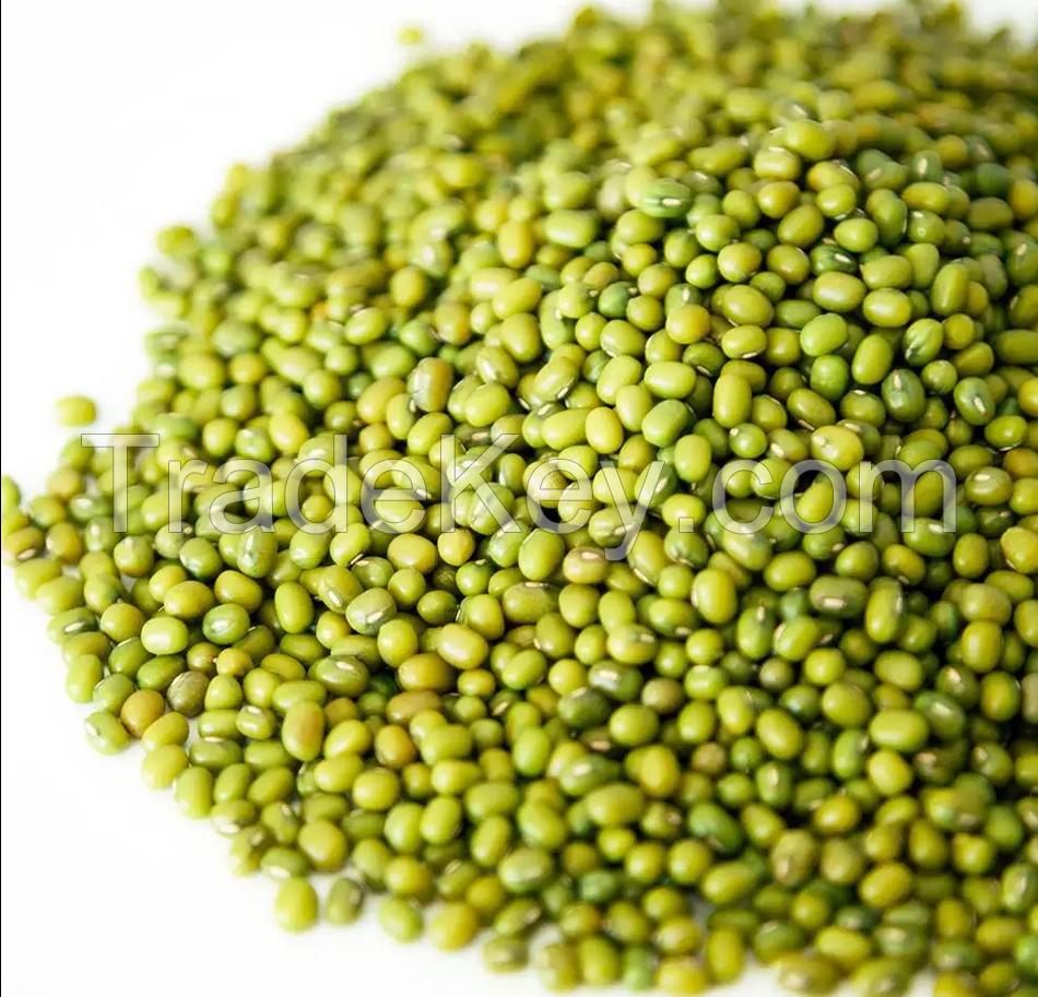 Reliable Export Specialty Premium Quality Green Mung Beans With Attractive Price