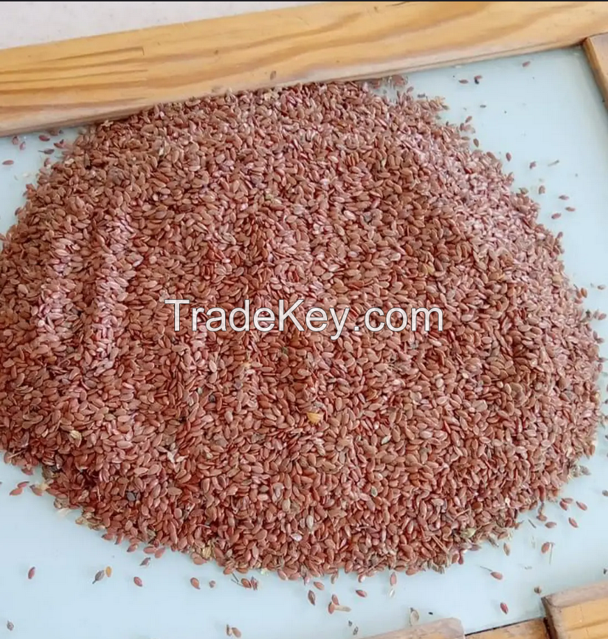 High Quality Flax Seed Linseed Natural