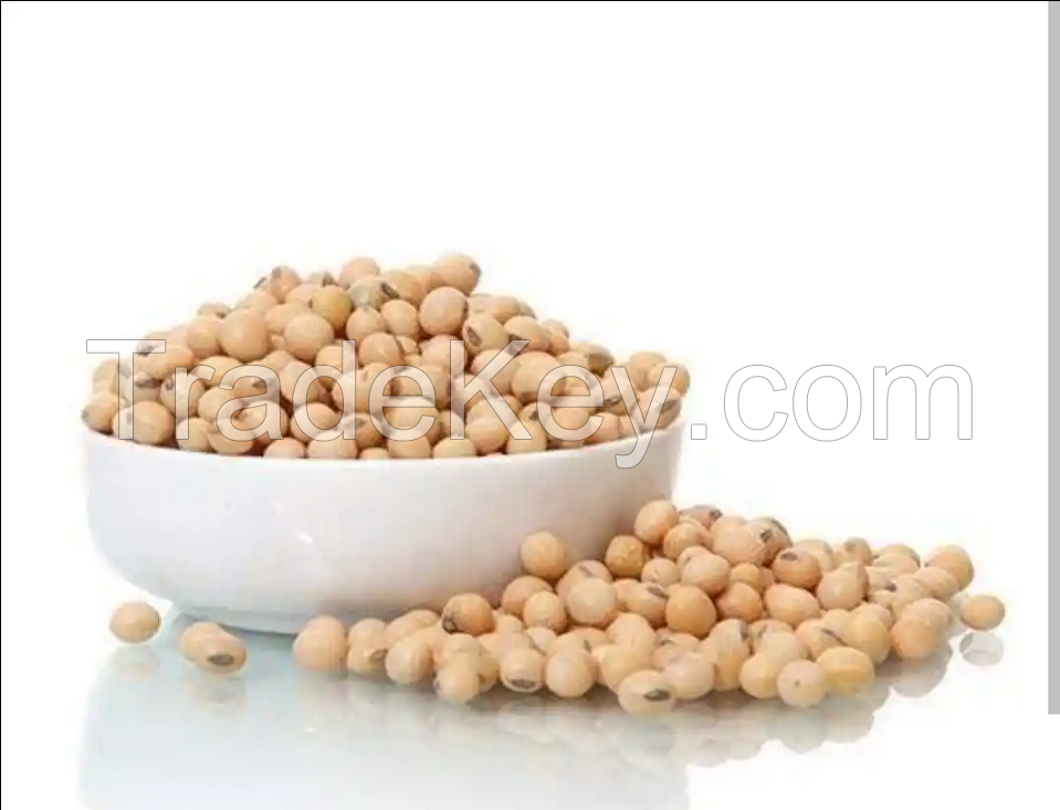 Human Consumption IQF Edamame Fresh Soybean Natural Soya Bean