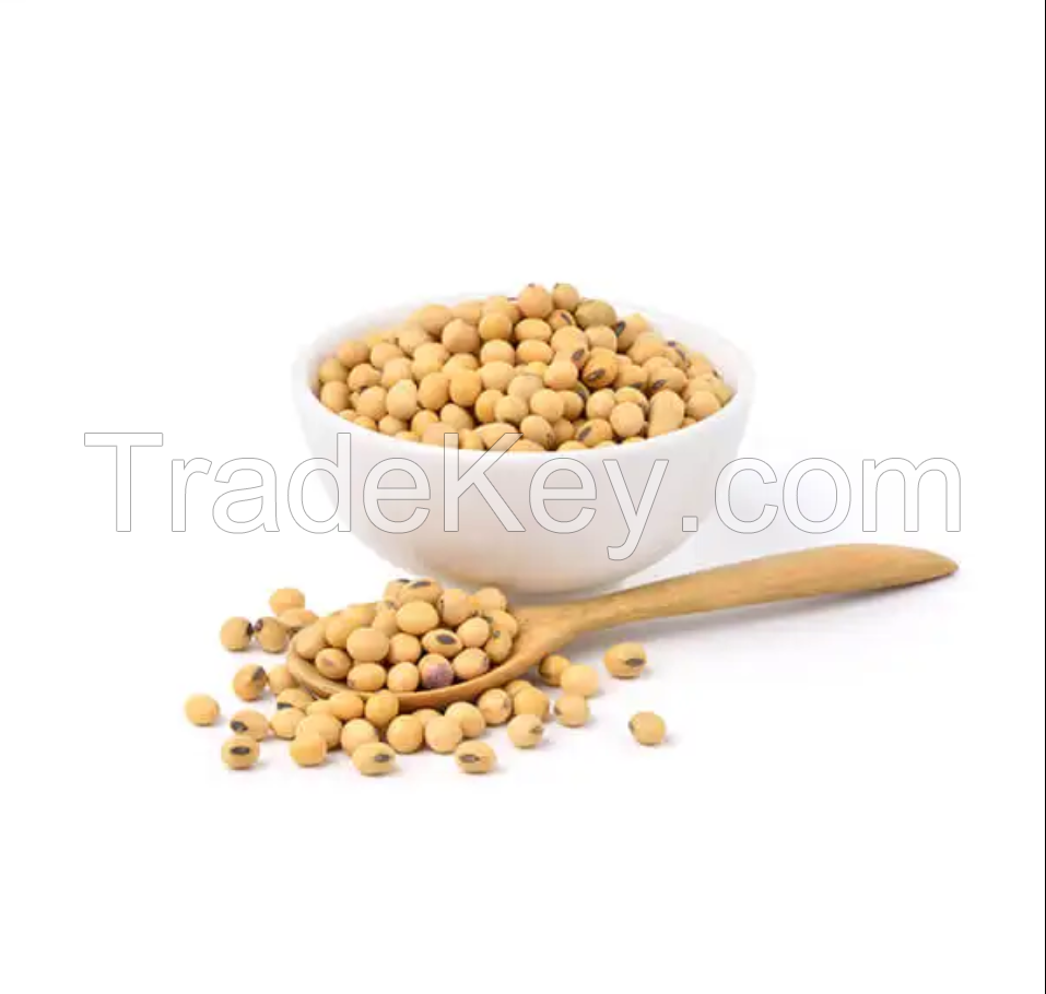 Good Quality NON GMO Soya Beans for Sale Yellow Soybeans - Soybeans for the best market rates worldwide