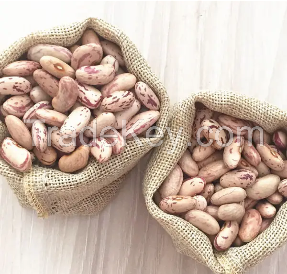 BUY Natural dry Pinto Beans at Wholesale