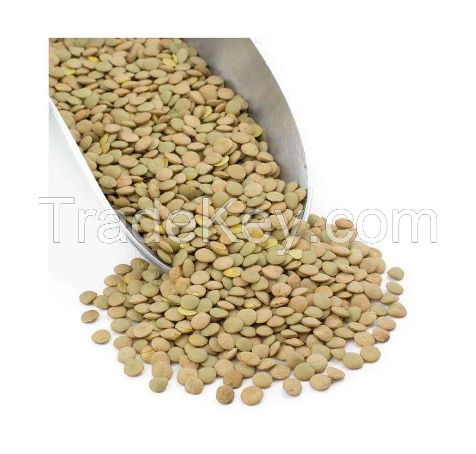 Premium Grade Mung beans/ Round Green Mung Beans/ Organic mung beans for sale