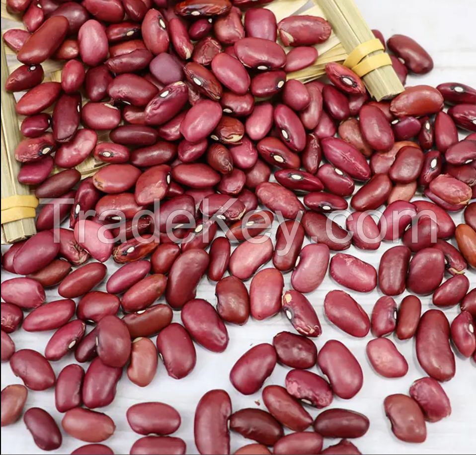 Dark Red Kidney Beans Long Shape Kidney Beans Dried Red Kidney Beans