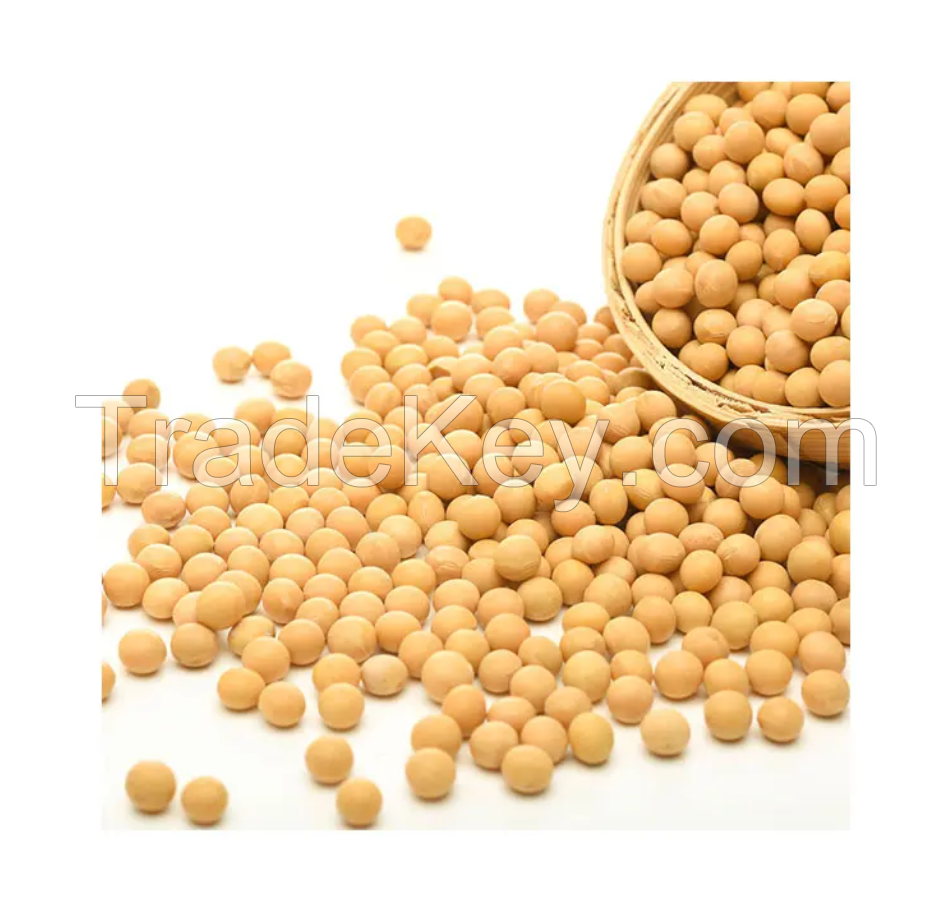PREMIUM discounts Yellow Soybeans Top Quality Dried Soya Beans Non - gmo Soybeans Wholesale price