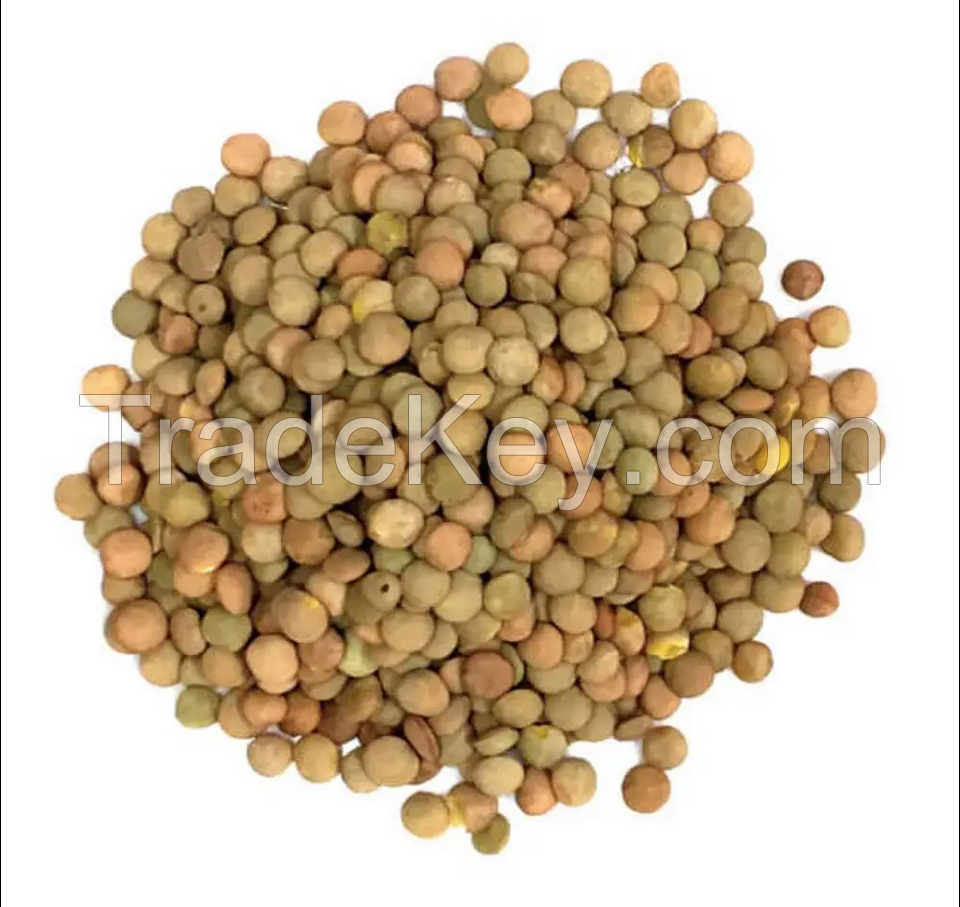 Best Quality Green Lentils , Red Lentils , Brown Lentils