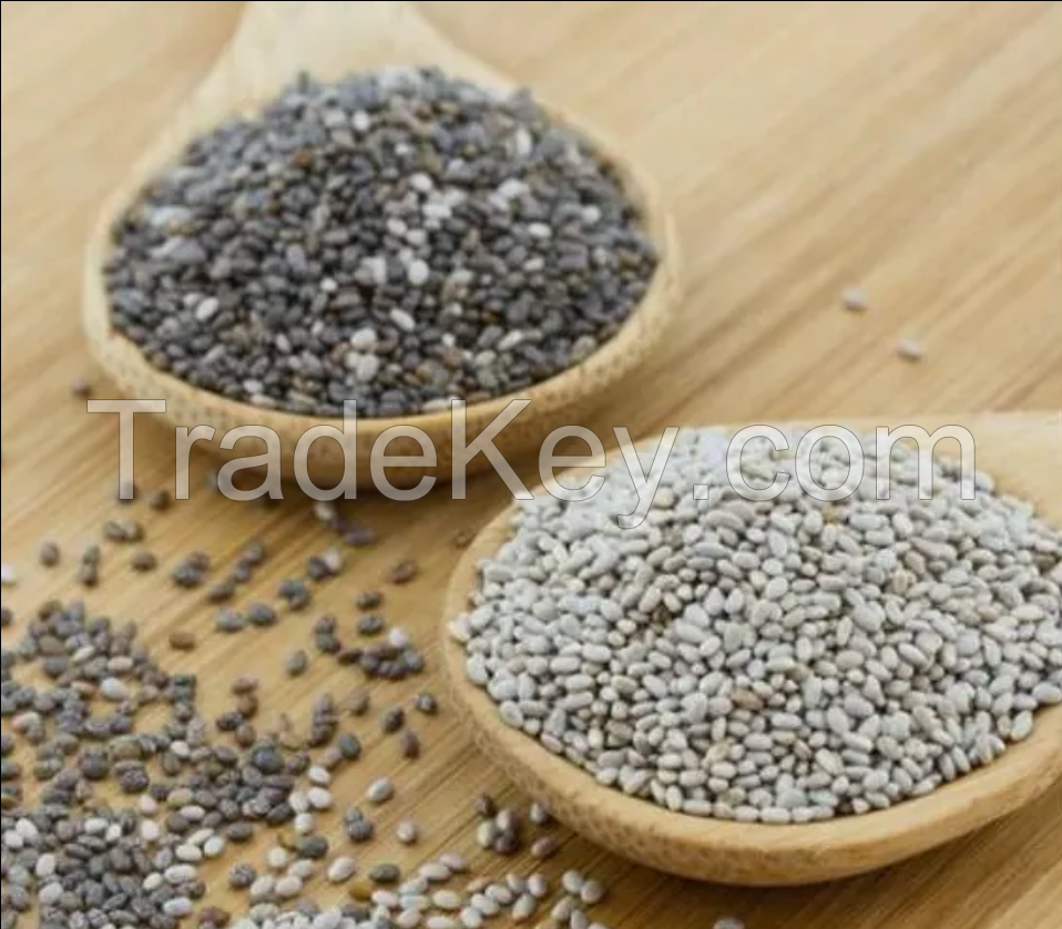 Wholesale Agricultural Products High Protein Organic Cleaned Black Chia Seed