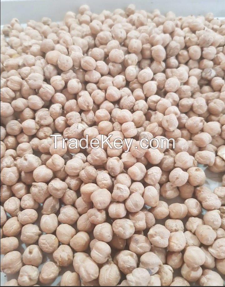 CHICKPEAS TOP GRADE AT AFFORDABLE PRICES / NEW CROP CHICKPEAS AND OTHER NUTS LIKE CASHEW PISTACHIO