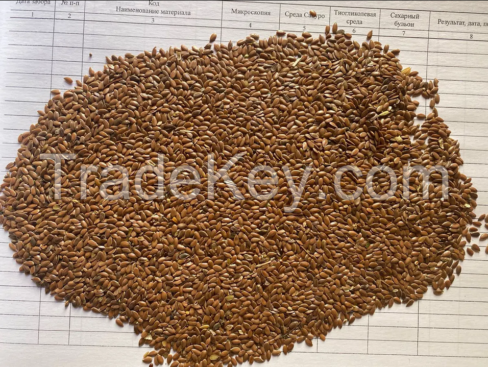 Wholesale Chinese good quality flax seed for oil pressing natural dried brown color linseed seed raw natural linseed flaxs