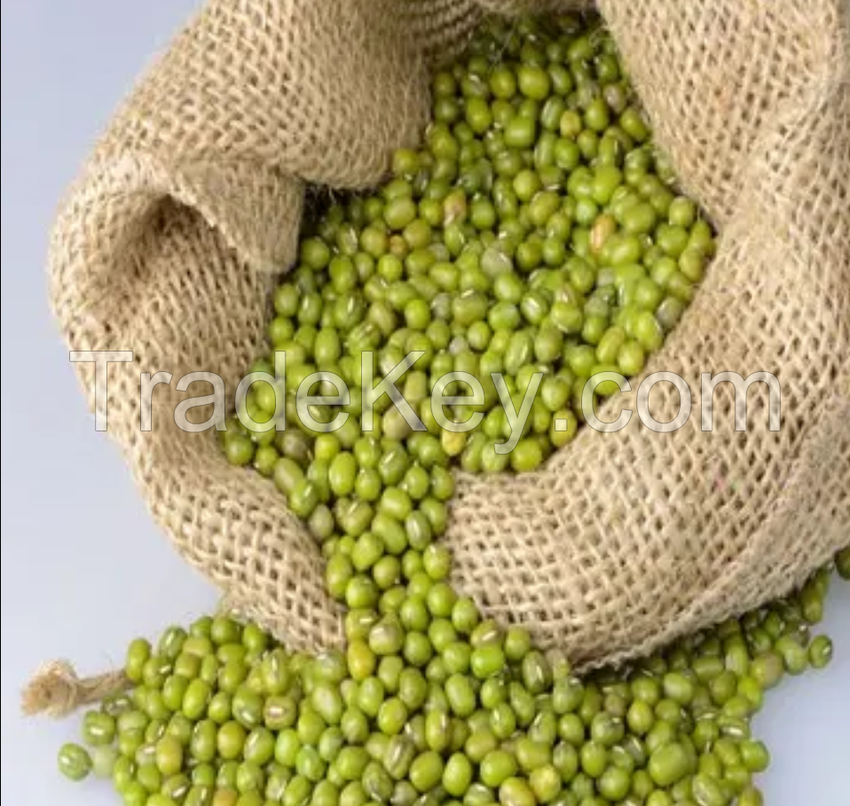 Green Mung Beans / Vigna Mung Beans Premium Quality Conventional Natural Mung Beans Green