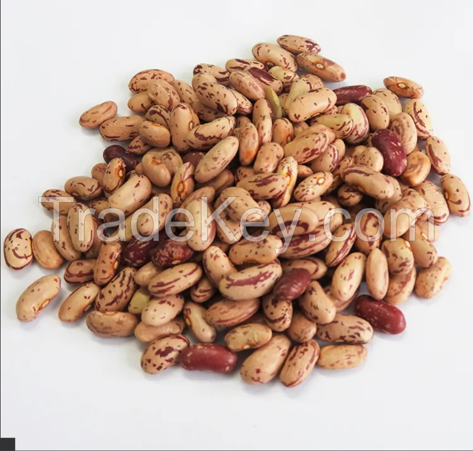Non-GMO Highest Grade Bulk 20-50 kg Products From Uzbekistan Natural Speckled White Kidney Beans for Food