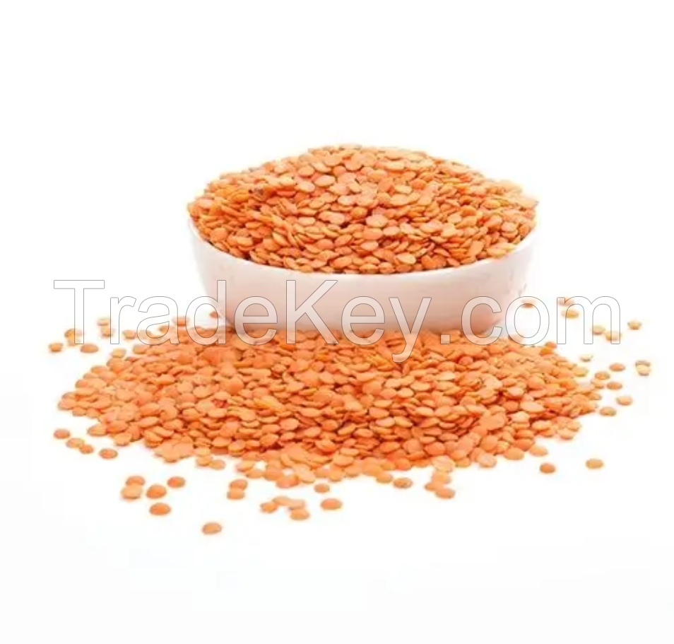 Best Quality Green Lentils , Red Lentils , Brown Lentils