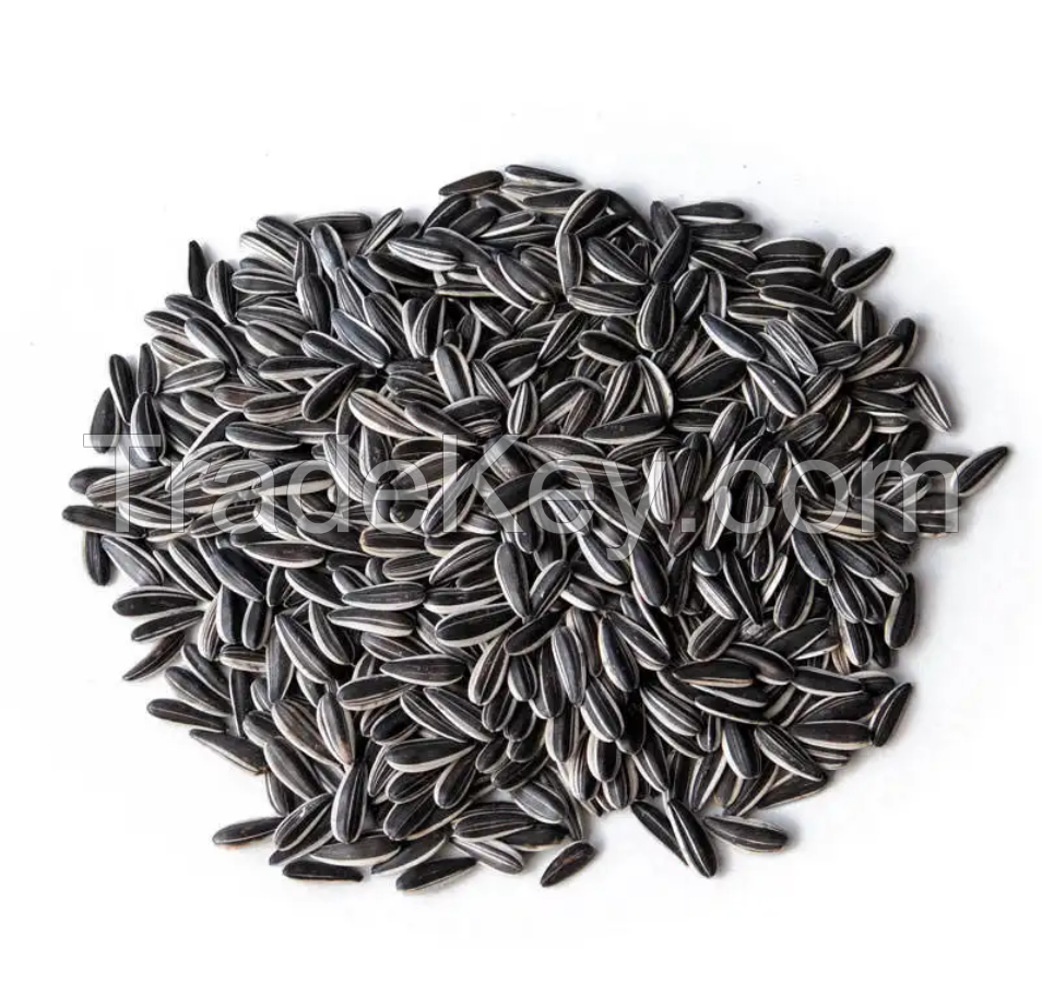 High Quality Argentina Sunflower Seed With Market Price