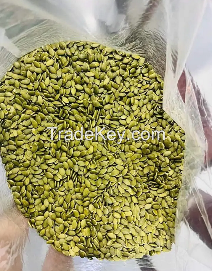 High quality green food in wholesale of snack shine skin pumpkin seeds