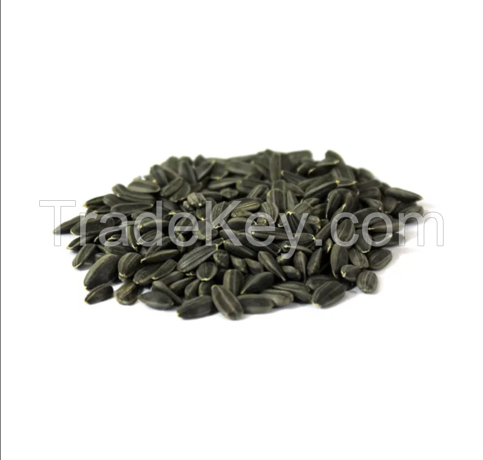 White Strip Sunflower Seeds With Cheap Price