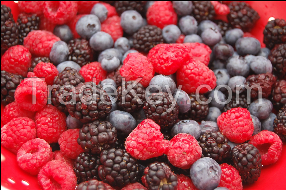 qf Raspberries Whole Freeze Dried Freeze Dried Emergency Fruit Exotic Frozen Berries