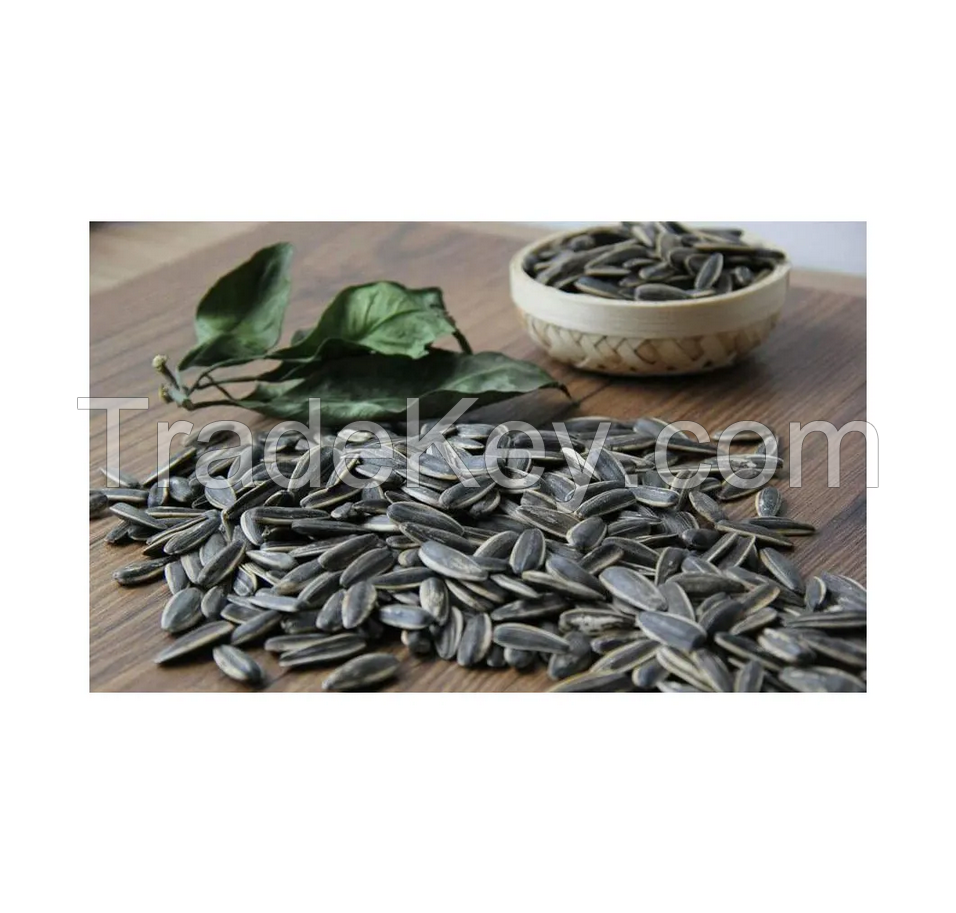 Premium Quality Wholesale Roasted Salted Sunflower Seeds Raw Kernels