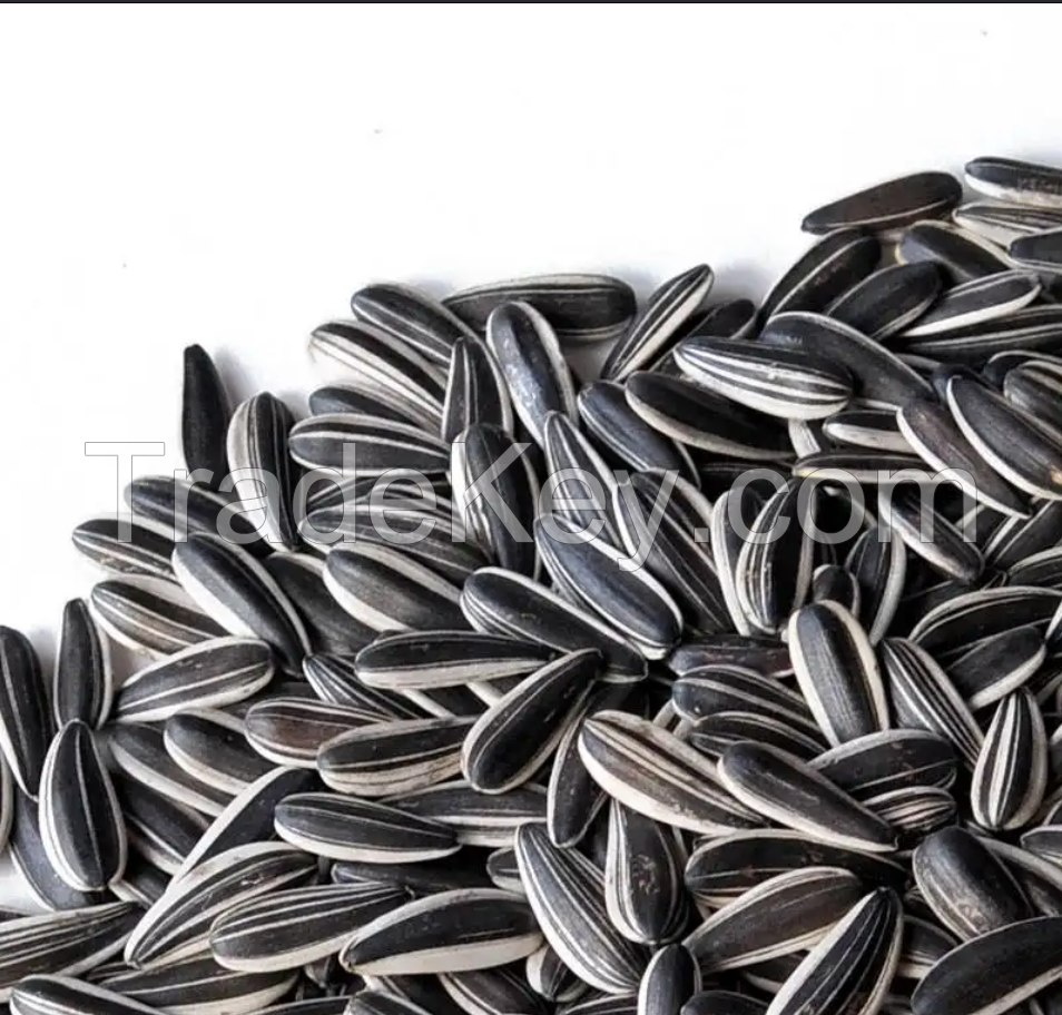 High Quality Large Particle Size 363 Sunflower Seeds 25kg/bags Dried Sunflower Seed Cheap Sunflower Seeds