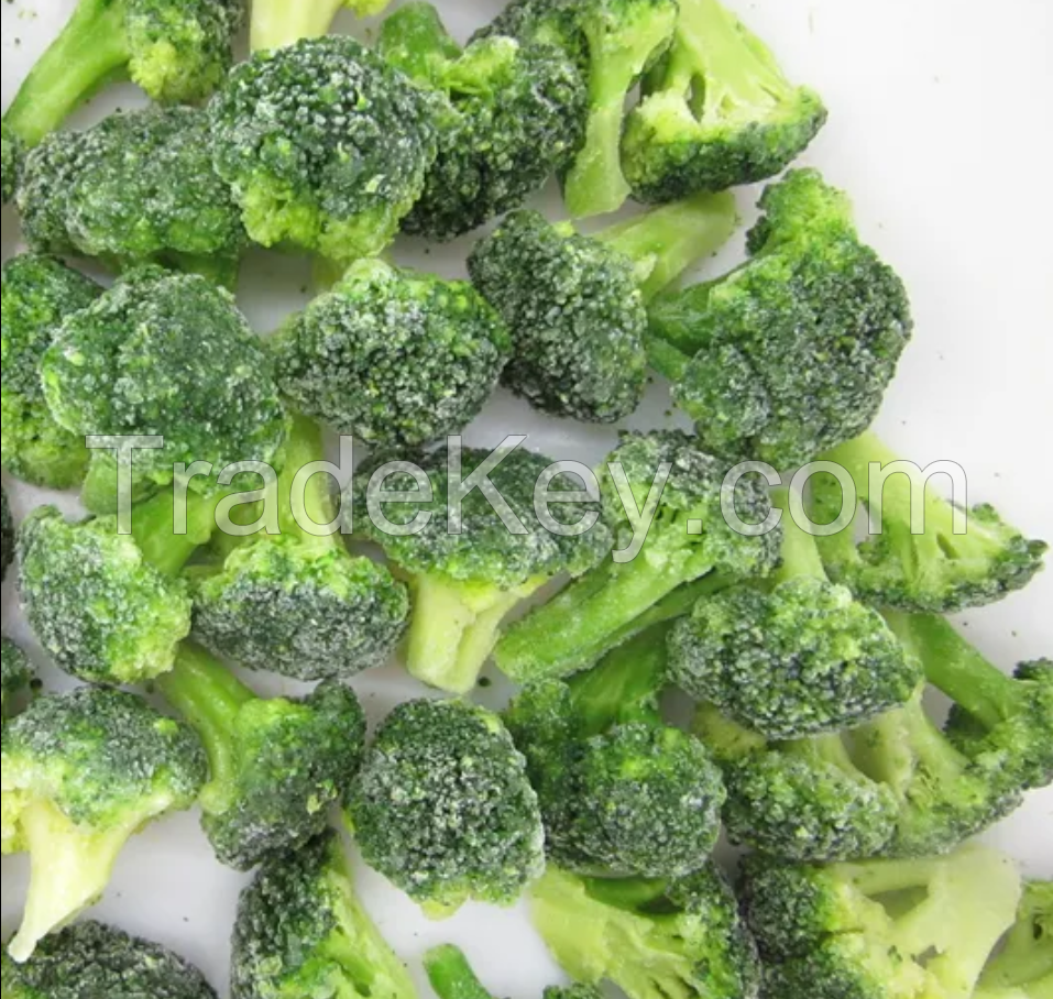 Wholesale High Quality Organic Iqf Frozen Fresh Broccoli