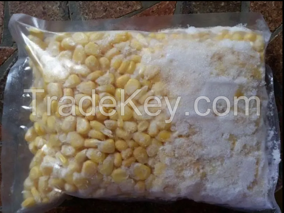 Healthy IQF Vietnam Origin Frozen Sweet Corn Frozen Maize Factory Price With Good quality