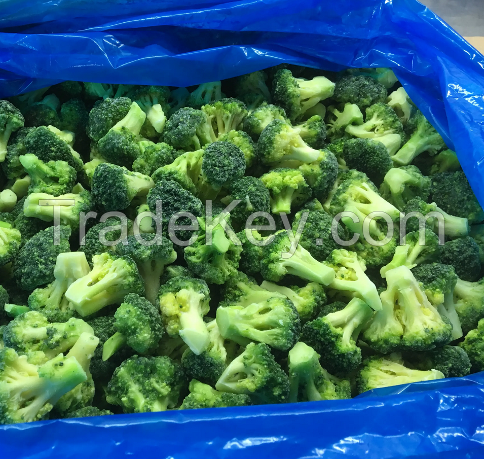 Wholesale Bulk Or Small Packaging Vegetables Freeze-dried Broccoli