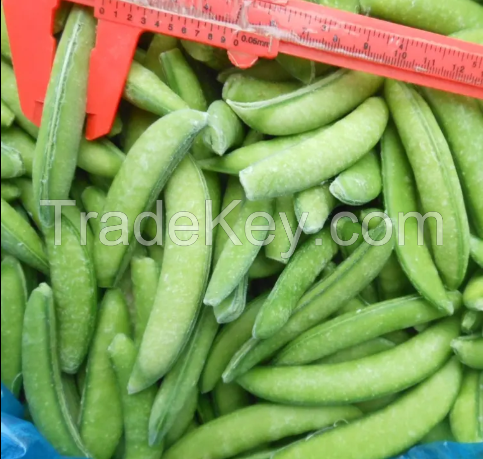 Vietnam Organic Product Of Bulk Frozen Green Soybeans/ Soy Beans/ Edamame