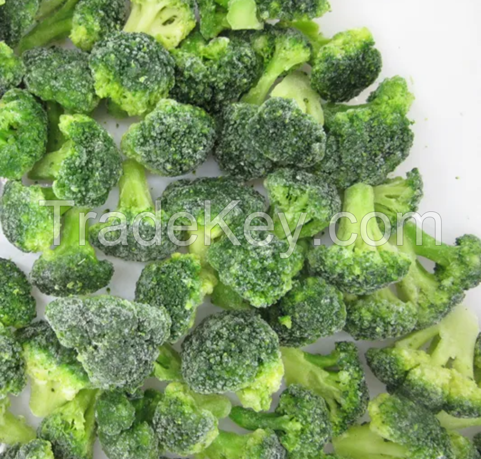 Broccoli Frozen, New Season, Egyptian Origin, Quality 99% Natural 100%, Color Green, Human Consumption