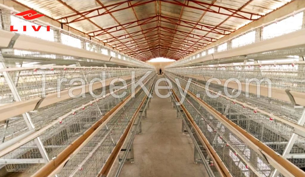 Livi Chicken Cages for sale with high quality & factory price