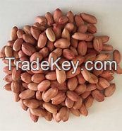 GROUNDNUTS