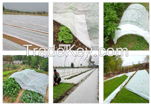 Pp Nonwoven Fabric For Agriculture/small Roll