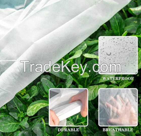 Pp Nonwoven Fabric For Agriculture/small Roll