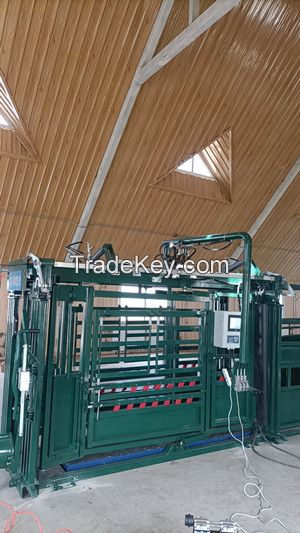 Hydraulic Chutes For Cattle