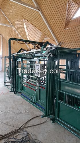 Hydraulic Chutes For Cattle