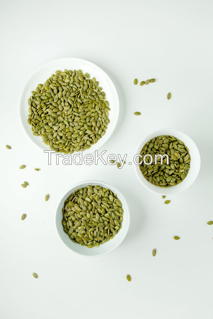 Premium Green Lentils - Nutritious, Fresh, and Ideal for Diverse Recipes