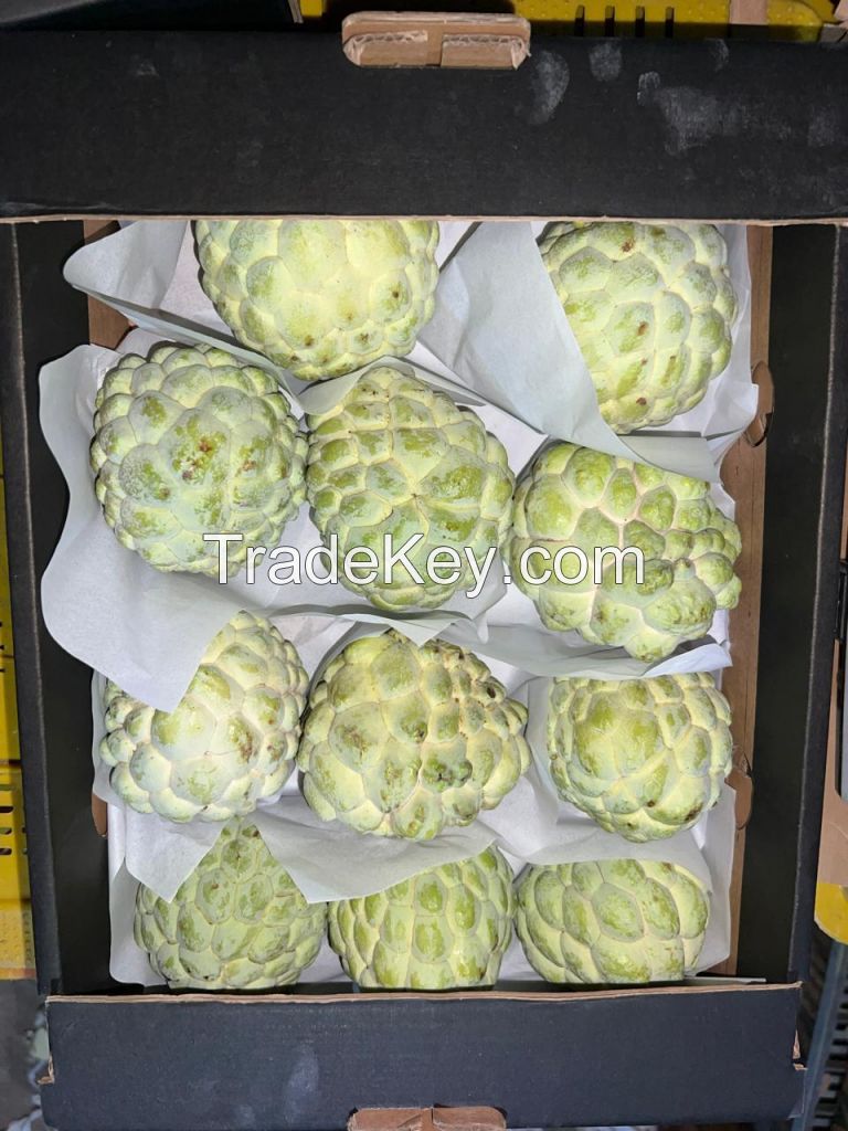 custard apple