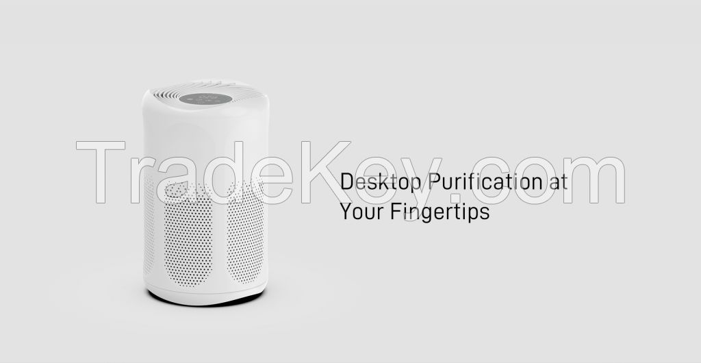 air purifier P1701