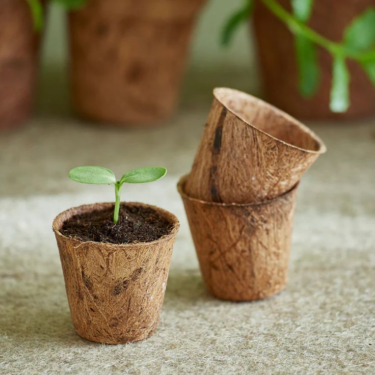 Coir Pots - Biodegradable from 100% coconut fiber coir pot for plants and flowers