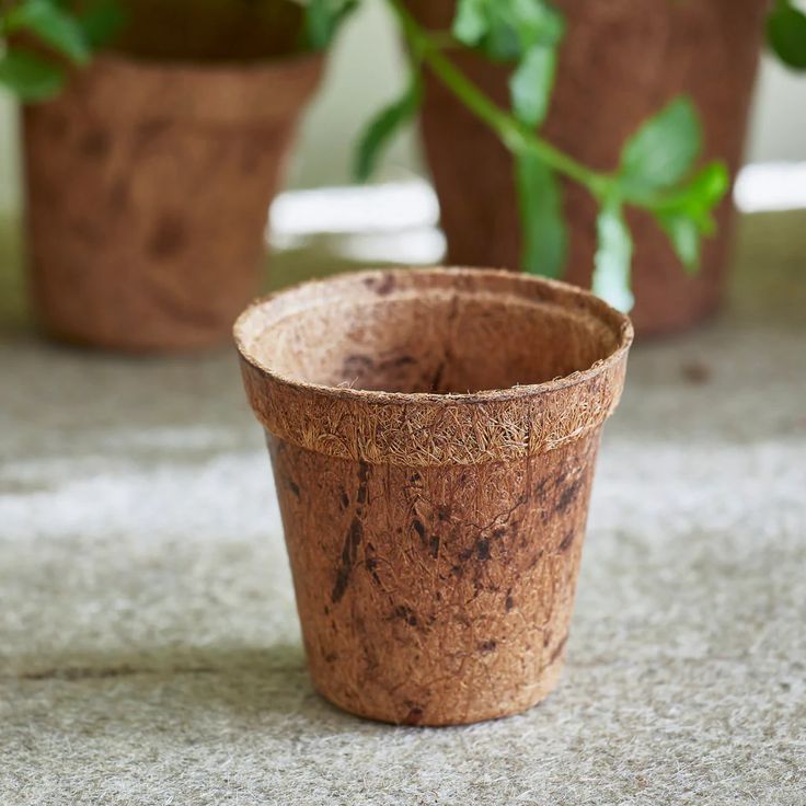 Coir Pots - Biodegradable from 100% coconut fiber coir pot for plants and flowers