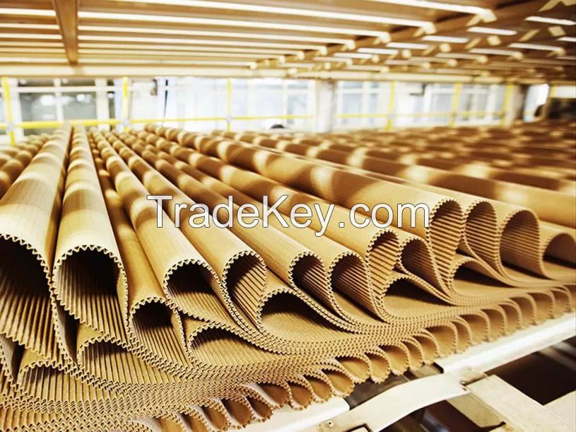 Cardboard Corrugated