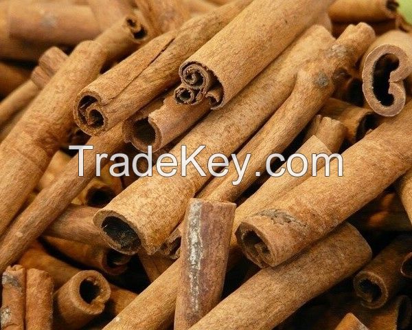 Spices Cinnamon Bark