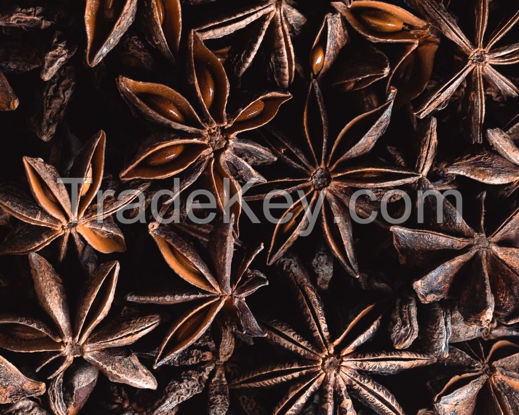 Spices Star Anise